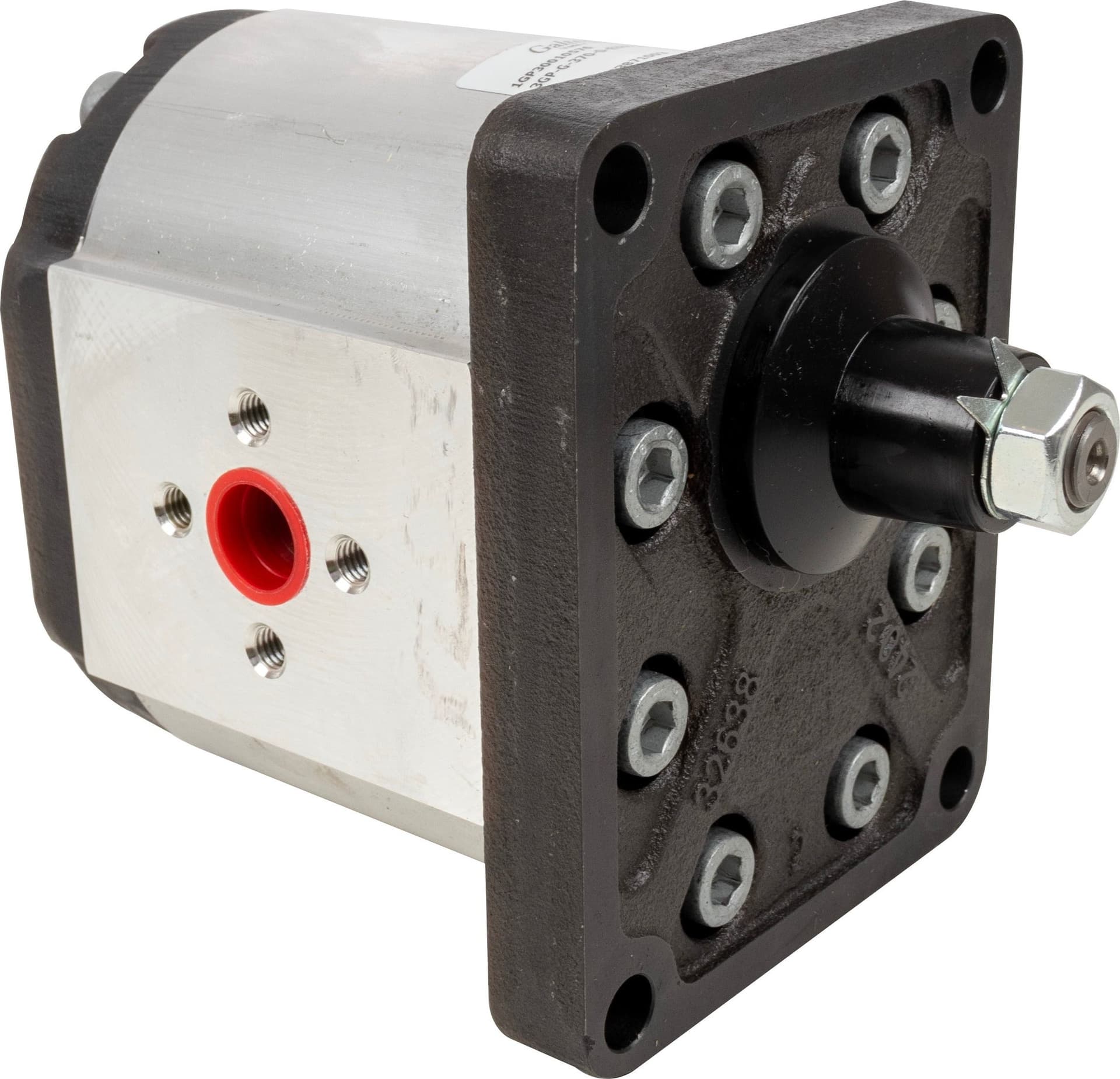 Pompa ad ingranaggi gruppo 3 62,70 CC sx - 3