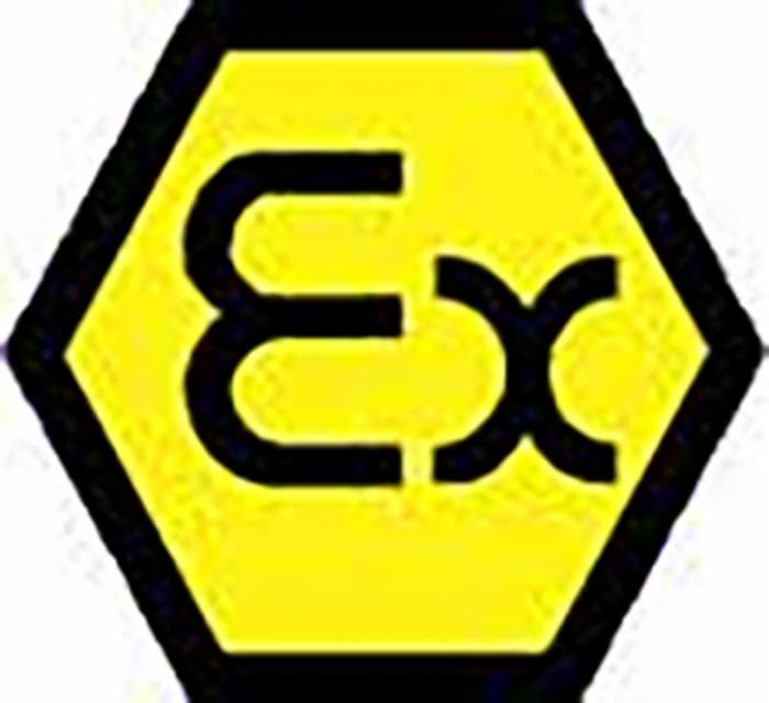 Contalitri Atex K24 benzina - 2