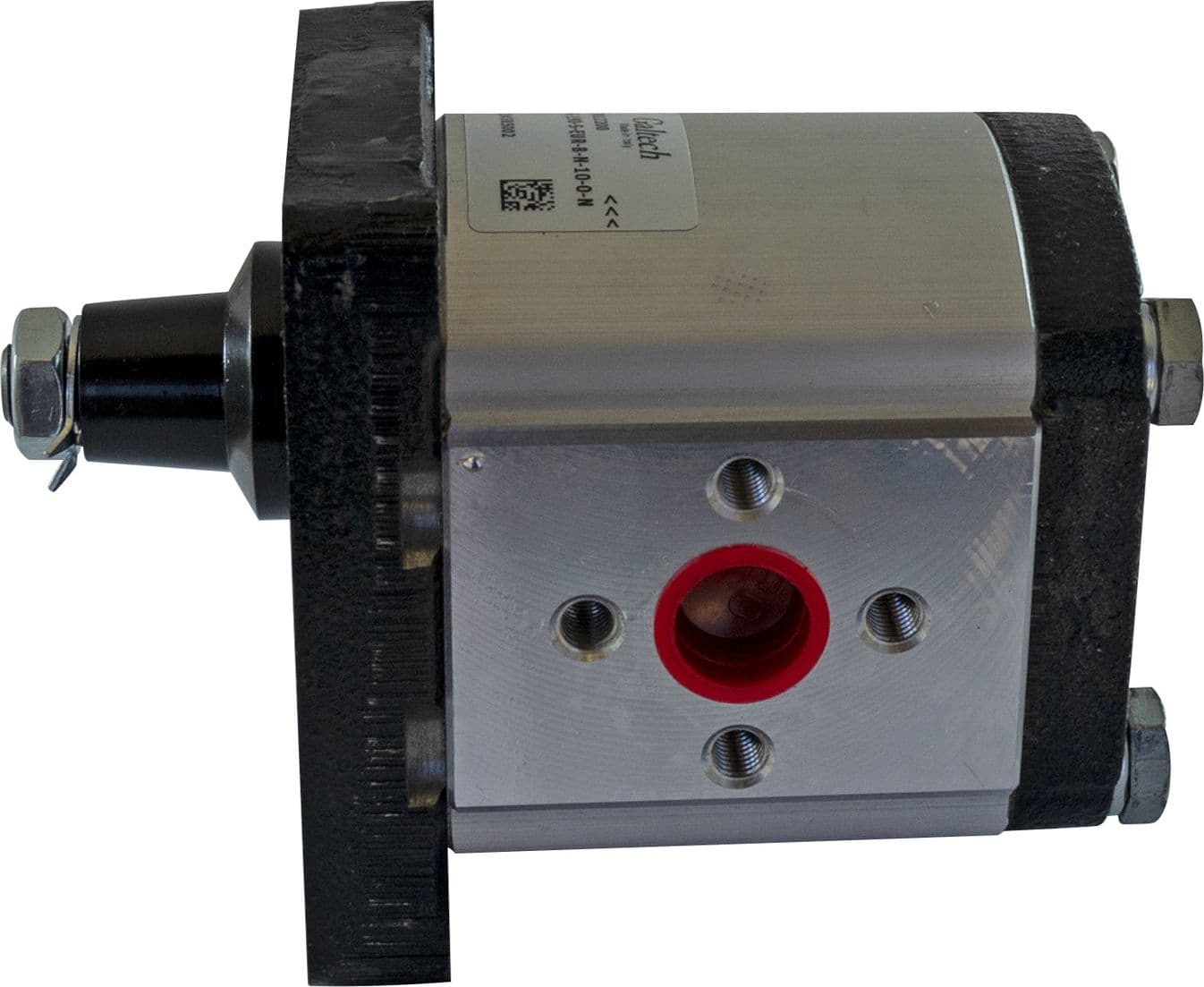 Pompa ad ingranaggi gruppo 2 8,70 CC SX - 3