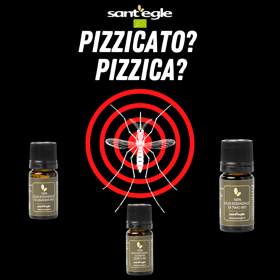 KIT ANTI ZANZARE, oli essenziali lavanda, timo e menta piperita - 2