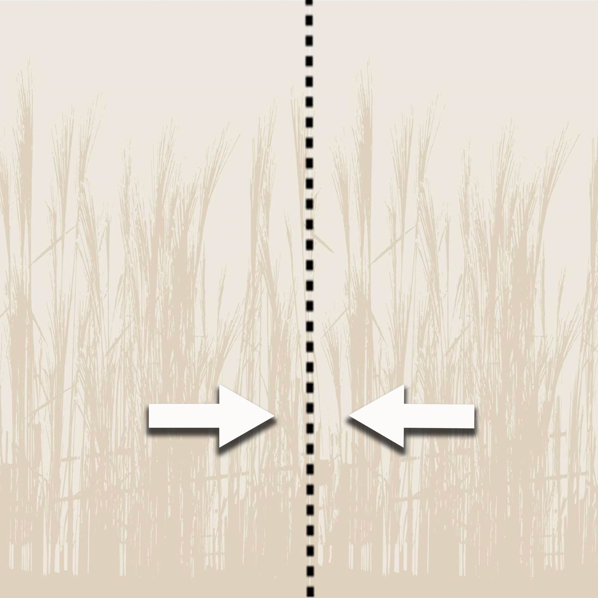 Pannello FOLIAGE 159x280cm di Carta da Parati TNT VINILICO a modulo raccordabile continuativo (3 teli/rotoli) - 3