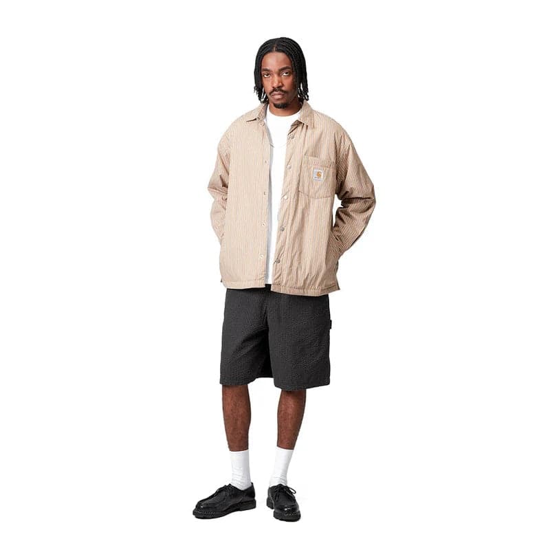 Short Carhartt Toland stripe blk - 5