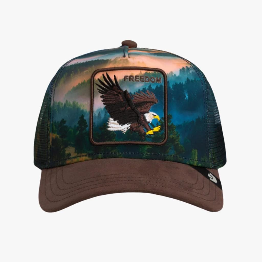 Cappello Goorin Bros Eagle In the Element MulticoloR - 4