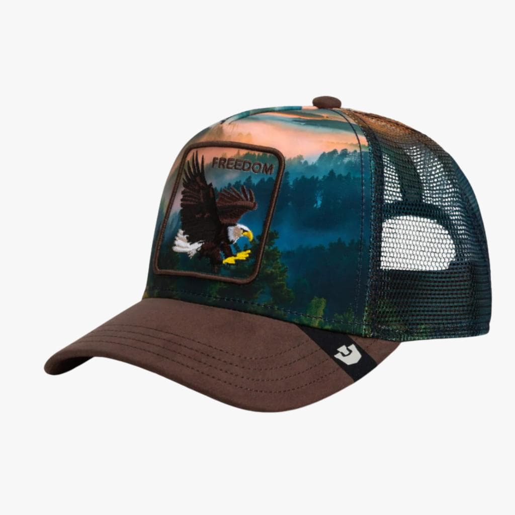 Cappello Goorin Bros Eagle In the Element MulticoloR - 2