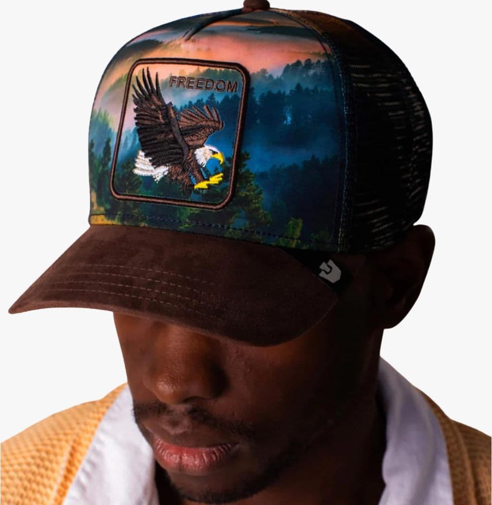 Cappello Goorin Bros Eagle In the Element MulticoloR - 3