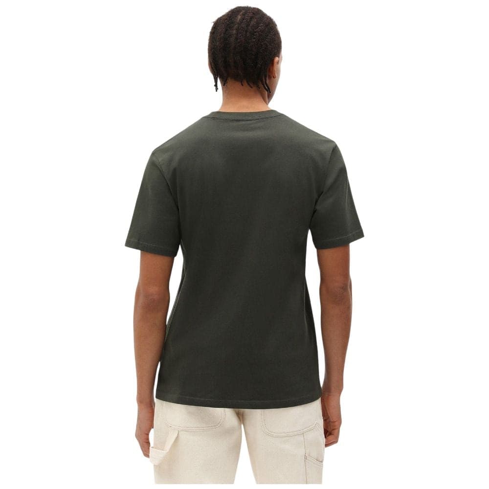 Dickies t-shirt verde oliva MAPLETON DK0A4XDBOGX1 - 3