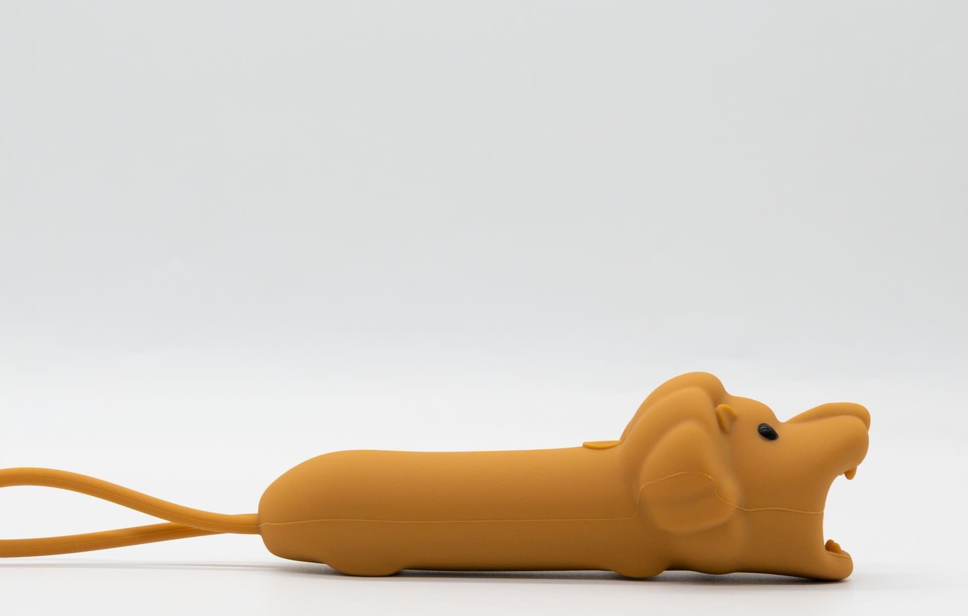 Lion - Flashlight - 3