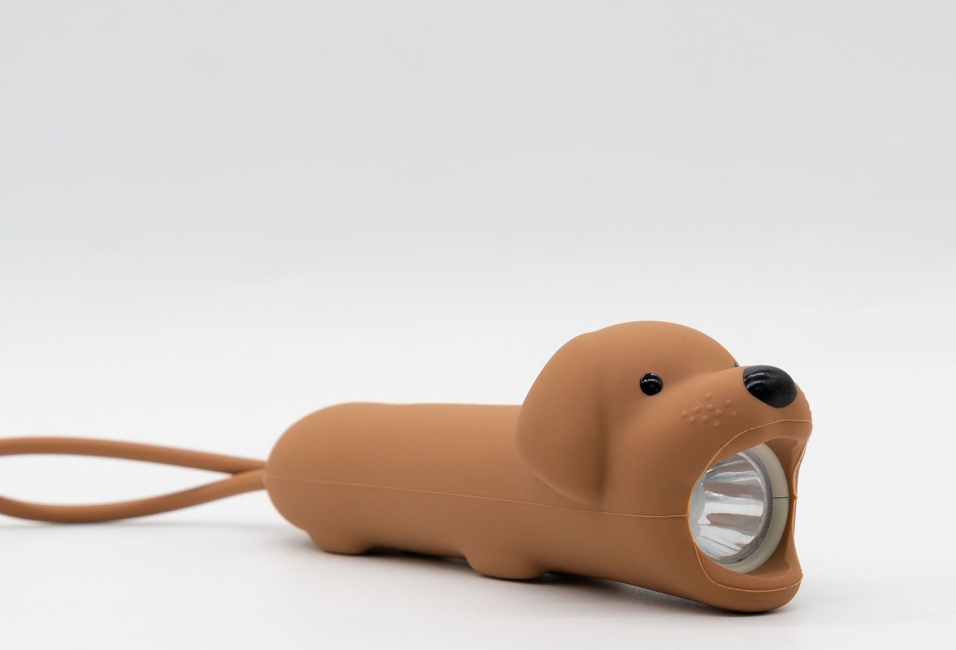 Dog - Flashlight - 6