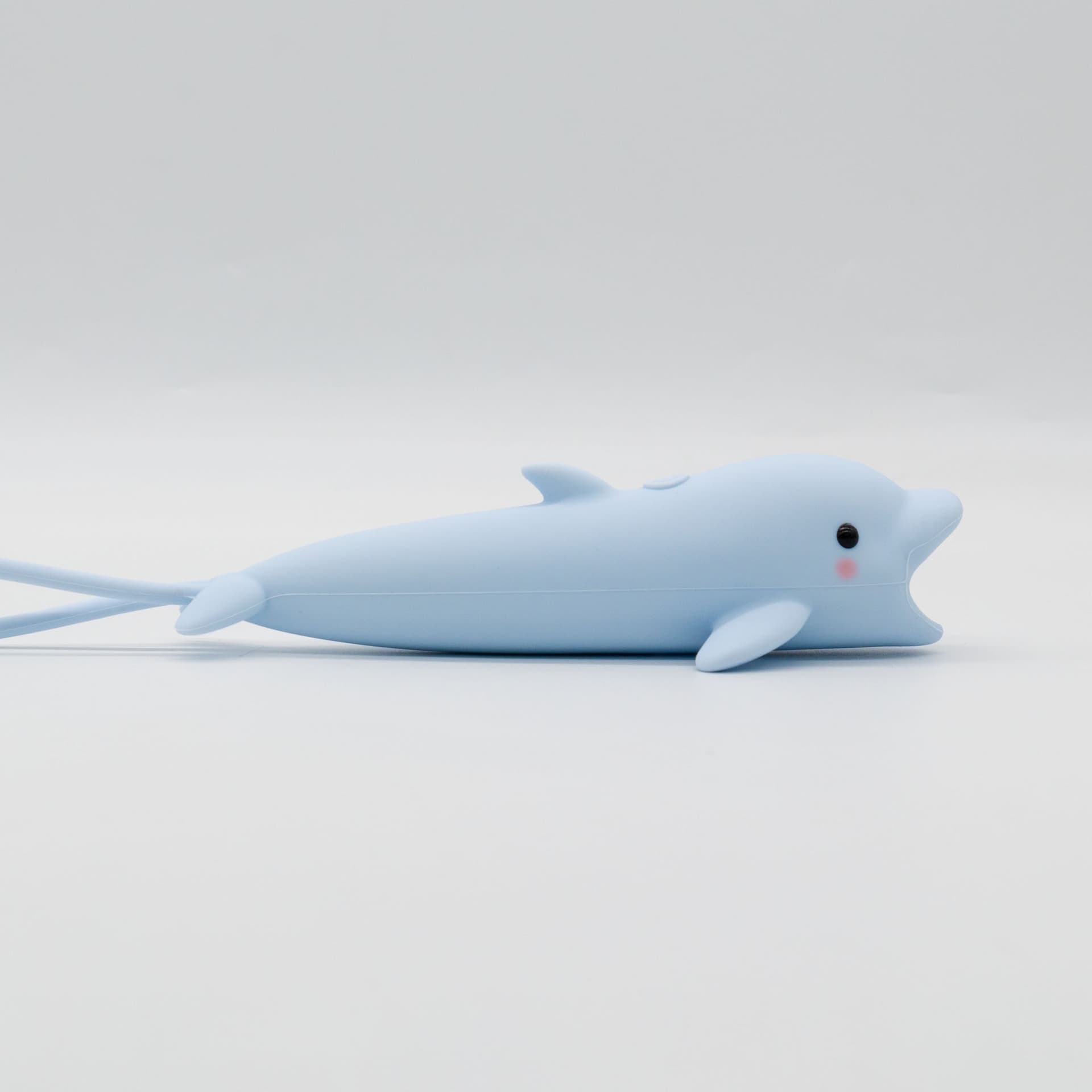 Dolphin - Flashlight - 5