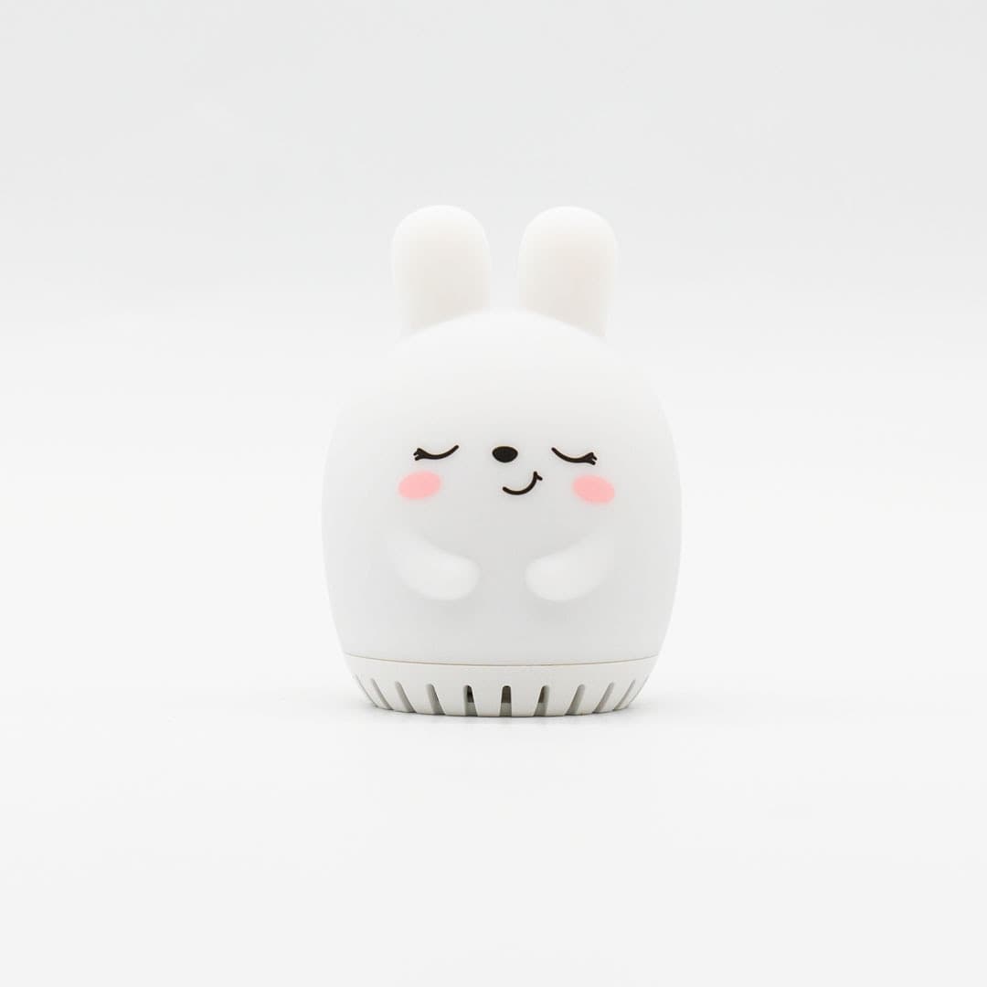 Rabbit Melody - 11