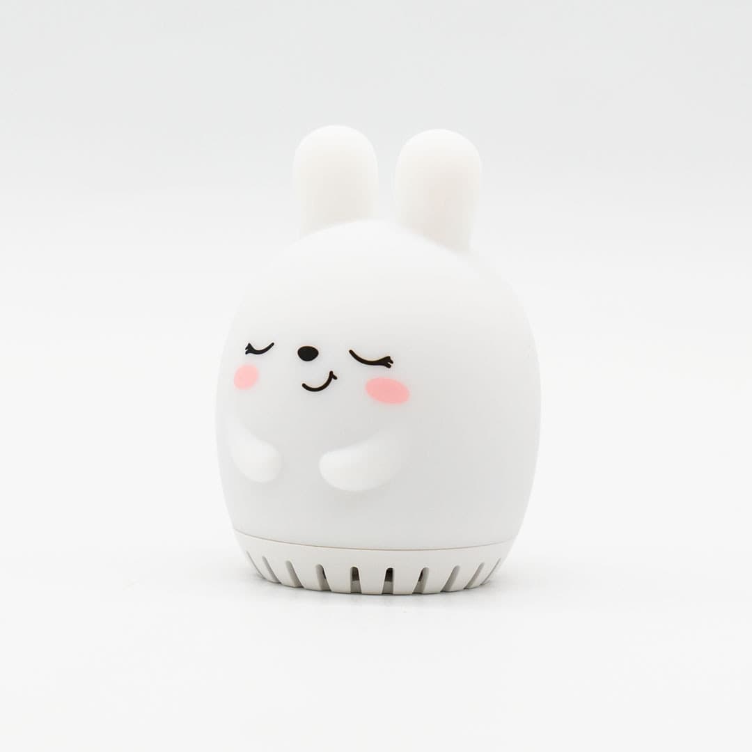 Rabbit Melody - 12