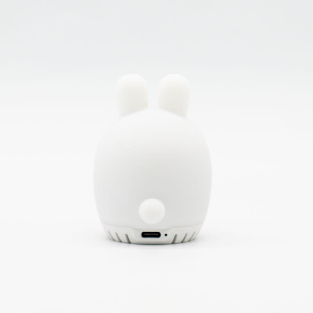 Rabbit Melody - 9