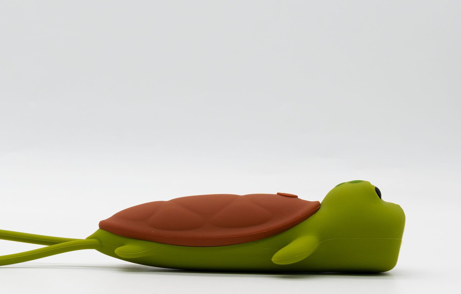 Turtle - Flashlight - 4