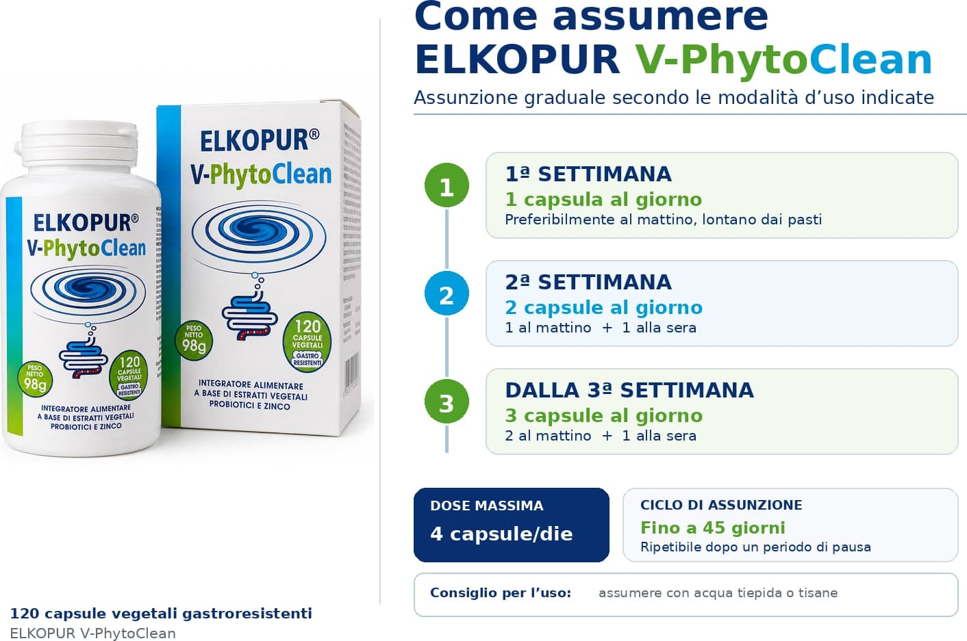 Elkopur V‑PhytoClean – Depurazione Intestinale Avanzata | Estratti Vegetali + Probiotici + Zinco - 5