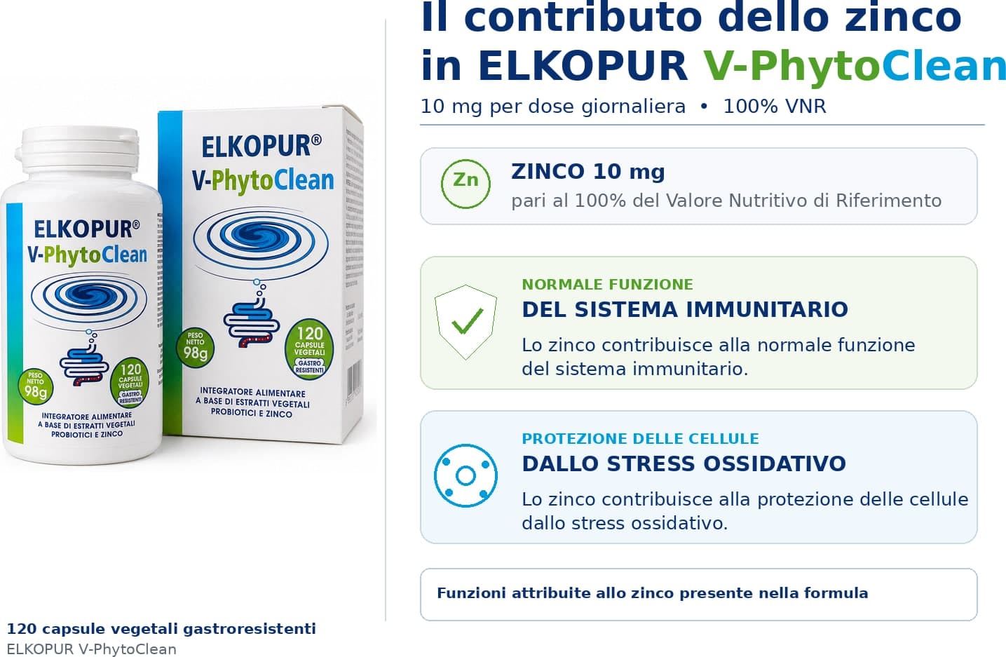 Elkopur V‑PhytoClean – Depurazione Intestinale Avanzata | Estratti Vegetali + Probiotici + Zinco - 6