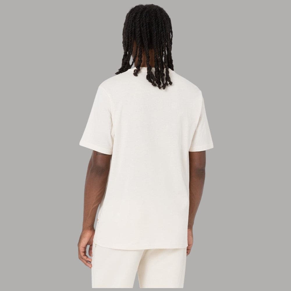 T-shirt Dickies Mapleton Cotone Traspirante Logo Iconico - 2