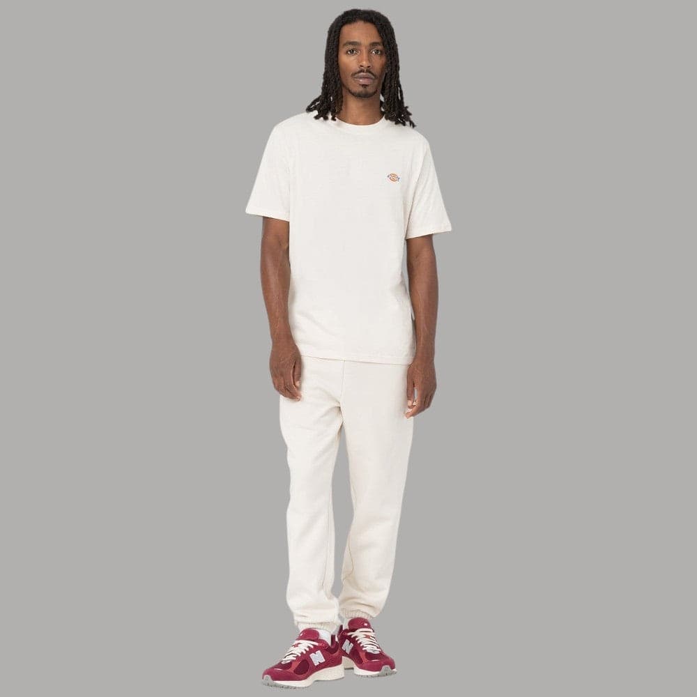 T-shirt Dickies Mapleton Cotone Traspirante Logo Iconico - 3