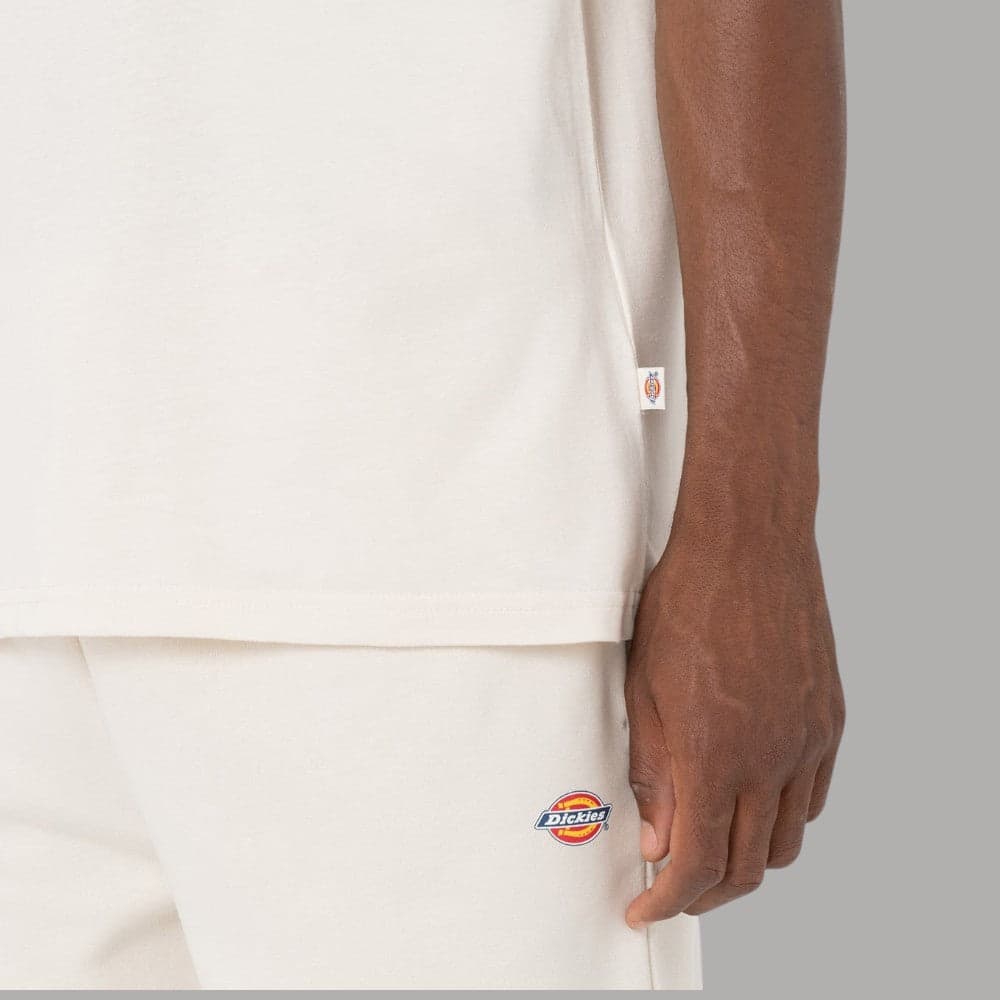 T-shirt Dickies Mapleton Cotone Traspirante Logo Iconico - 5