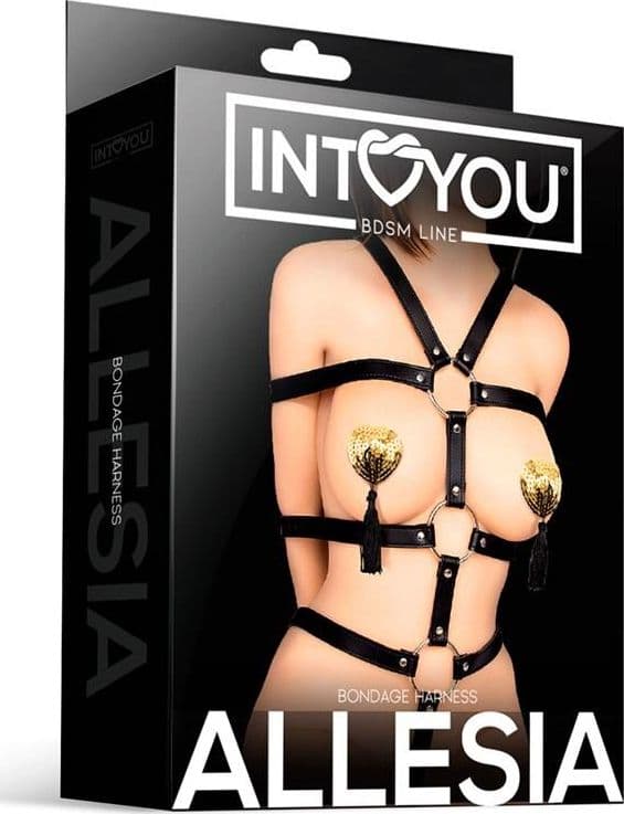 Body harness costrittivo INTOYOU BDSM LINE ALLESIA – HARNESS BONDAGE - 6