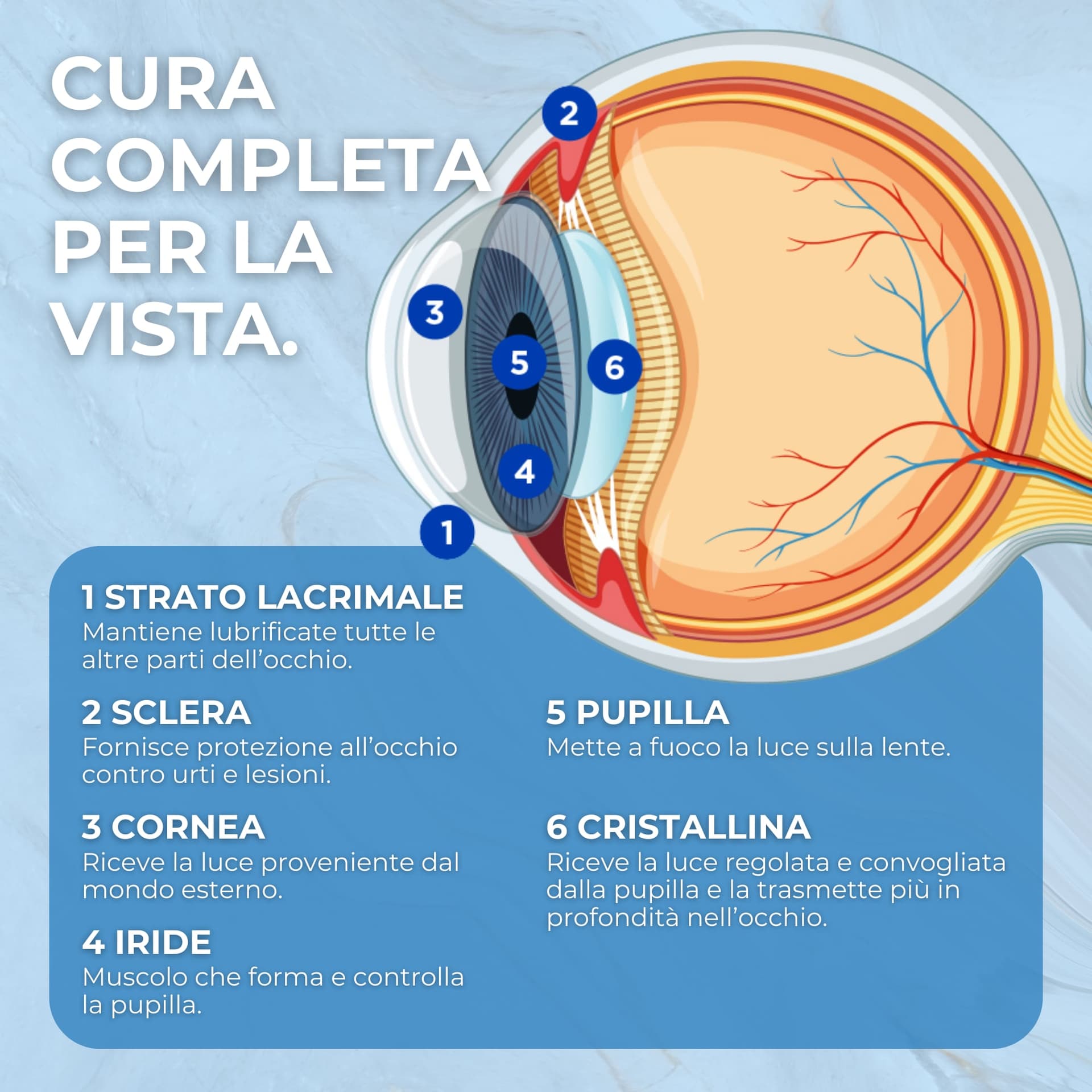Integratore per la Vista con Luteina, Zinco e Vitamina C – Licopene da Pomodoro Camone e Mirtillo Nero – 60 Compresse - 5