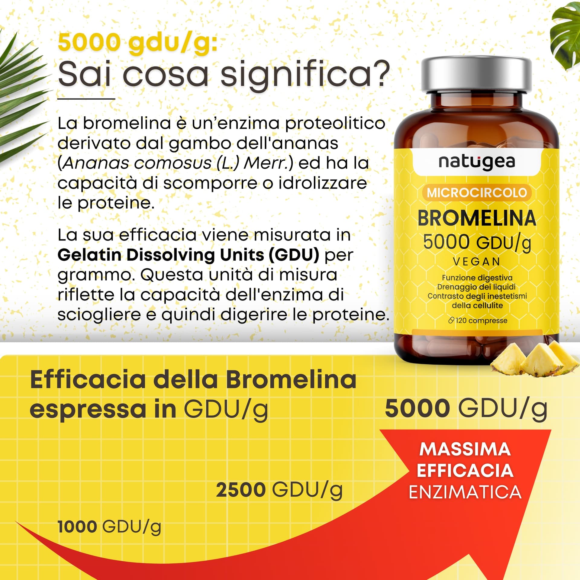 Bromelina 5000 GDU/g da Ananas – Drenaggio Liquidi, Microcircolazione e Cellulite – 120 Compresse Vegane - 5