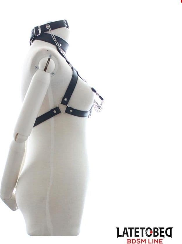 Reggiseno pinzette per capezzoli gag collare bocca nero regolabile M L fetish in prodotto Erosdom - Palmi, commercioVirtuoso.it