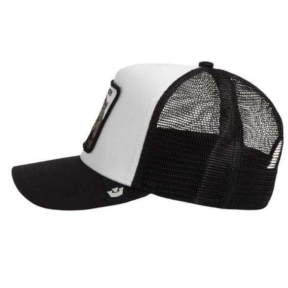 Cappello  Goorin Bros Strenght Panther Multicolor - 4