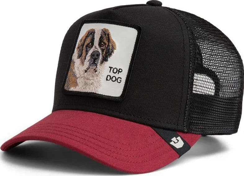 Cappello  Goorin Bros Top Dog Black - 2