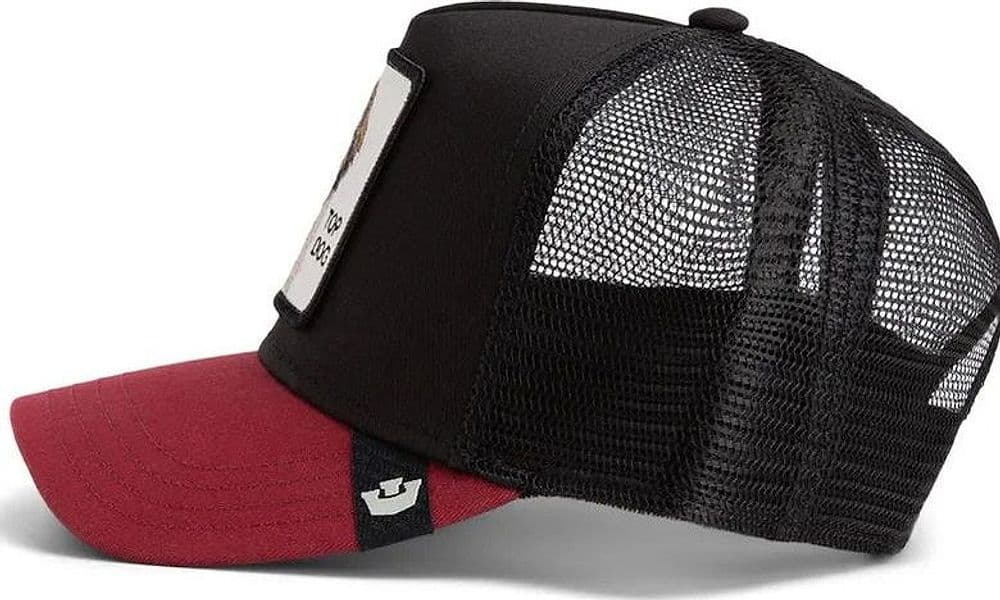 Cappello  Goorin Bros Top Dog Black - 3