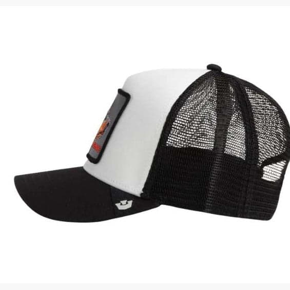 Cappello  Goorin Bros Beware Multicolor - 3