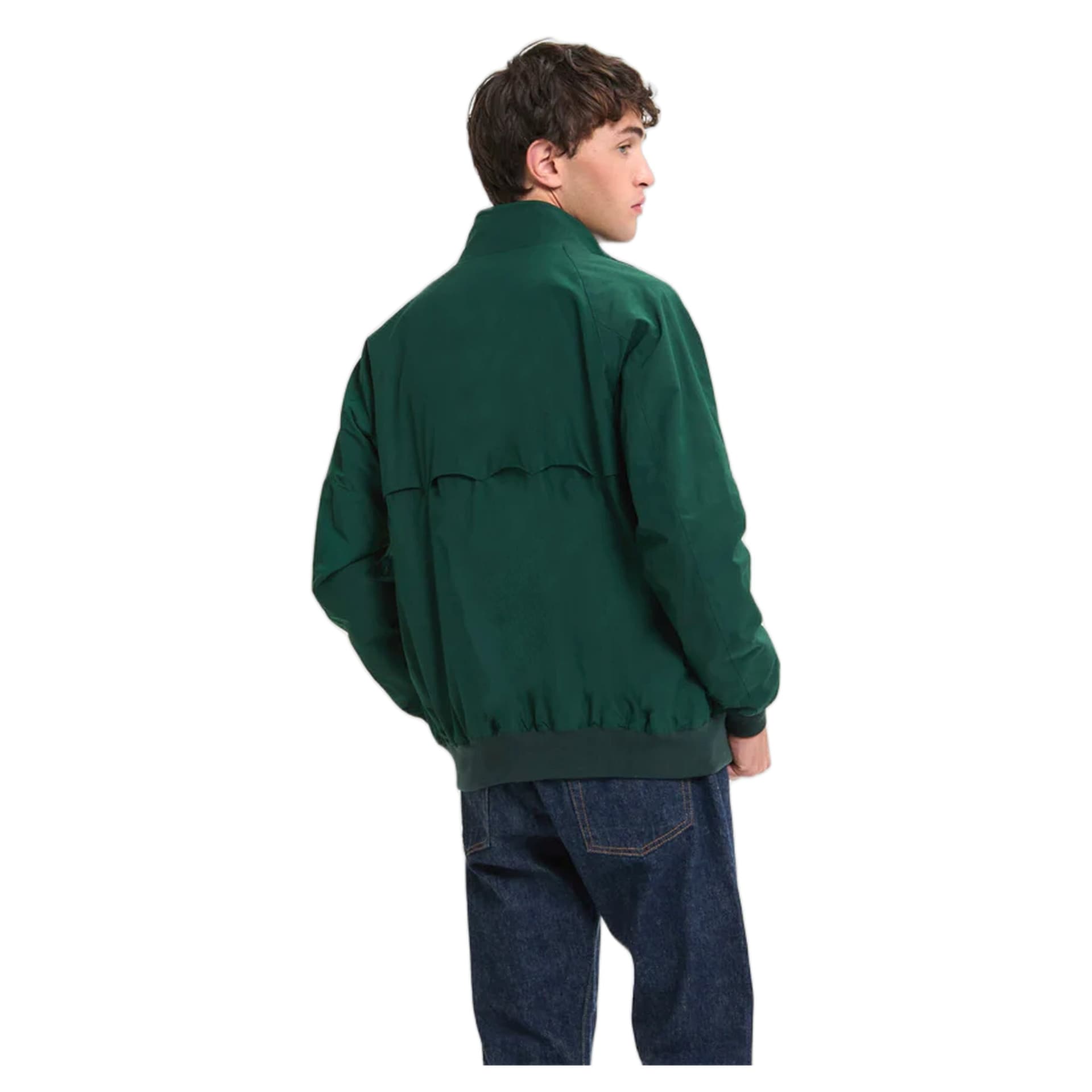 BARACUTA giacca baracuta g9 harrington - racing green - 6