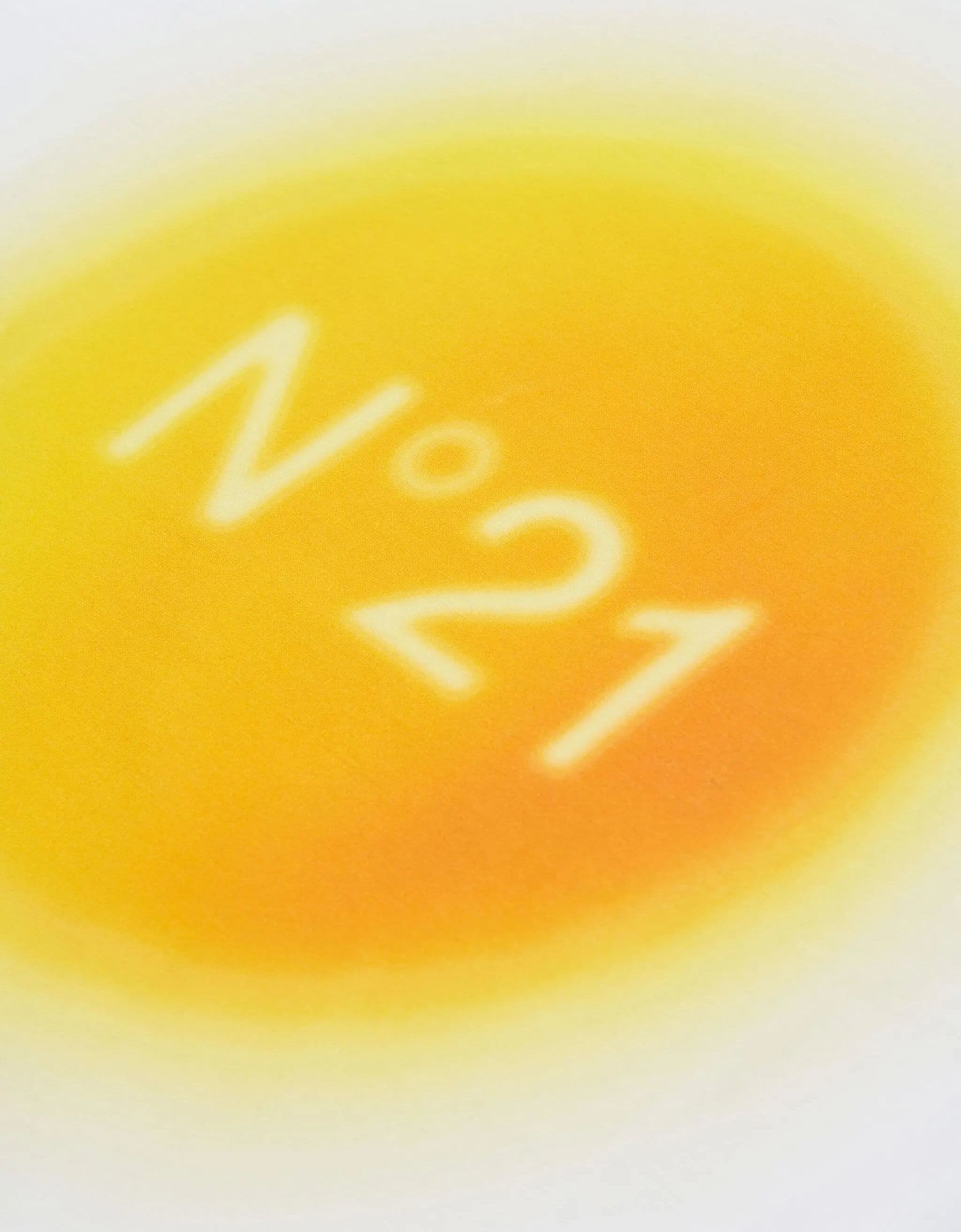 N°21 T-SHIRT M/C LOGO SFUMATO - 4