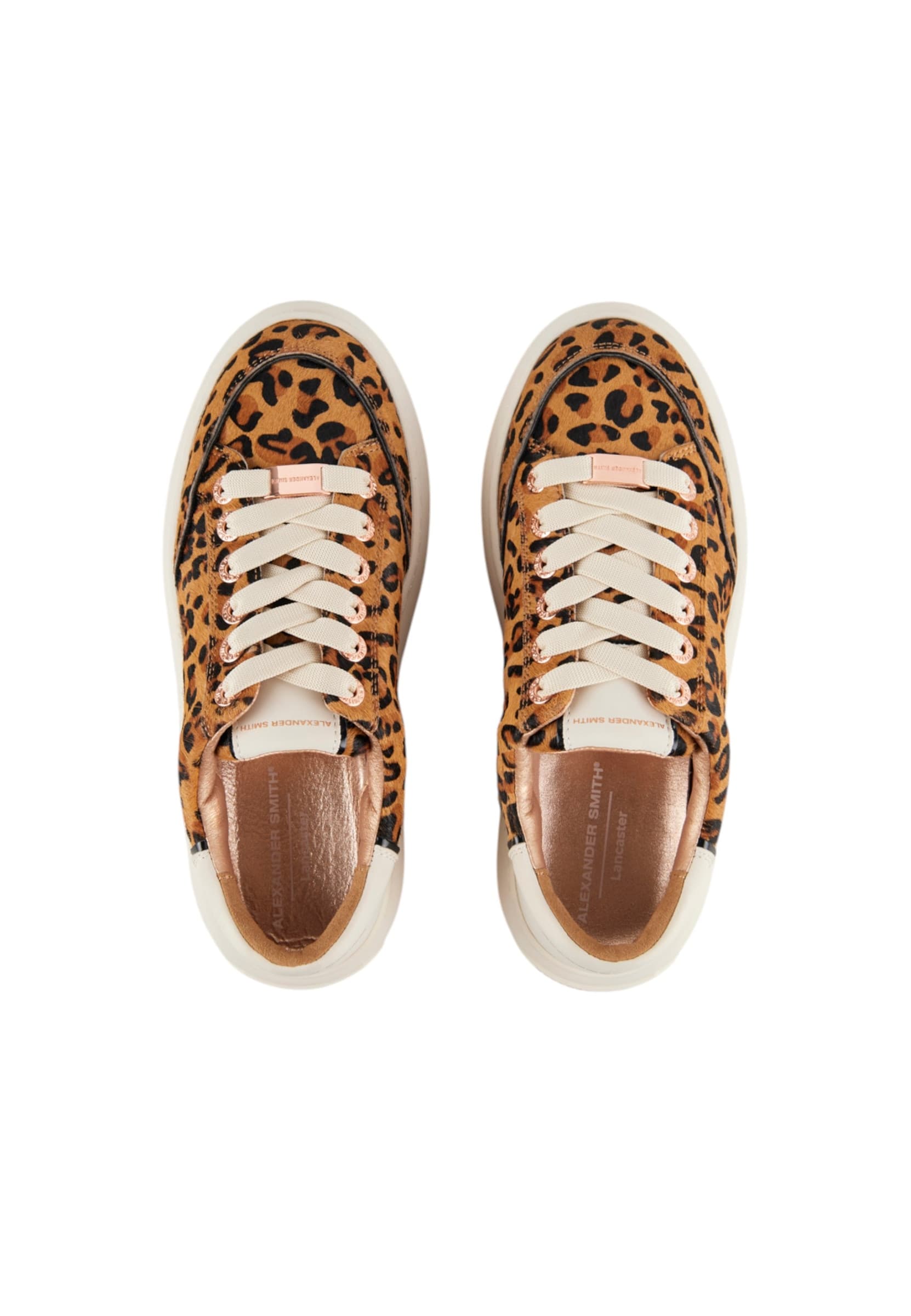 ALEXANDER SMITH asbclsw-1856-csf Alexander Smith Donna Pelle Marrone - 5