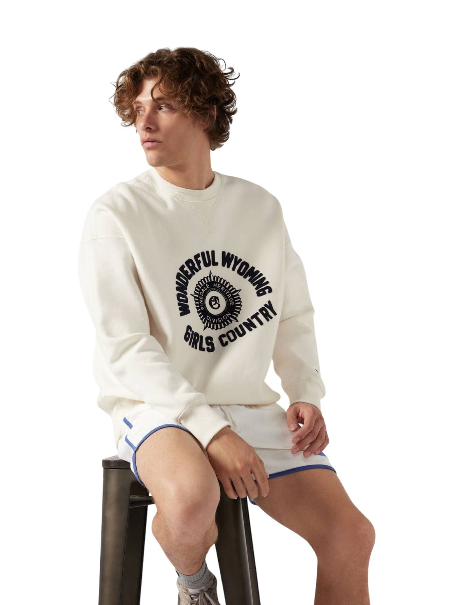 CHAMPION ARCHIVE Champion Archive Ghost ranch 60’s crewneck sweatshirt felpa girocollo - Vintage cream - 6