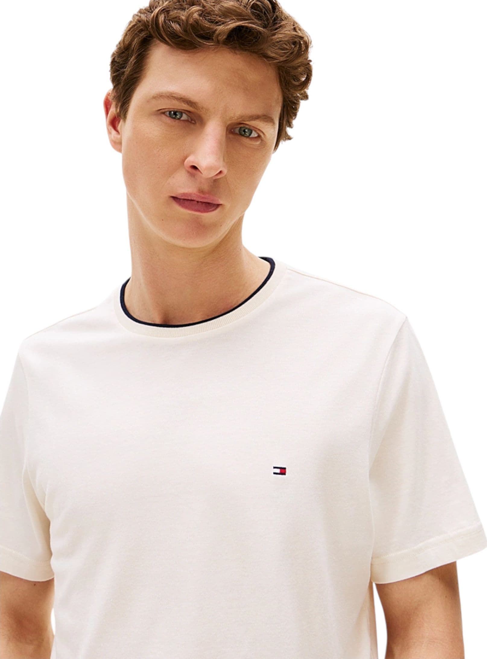 Tommy Hilfiger T-shirt Uomo  MW0MW39368 Z00 - 5