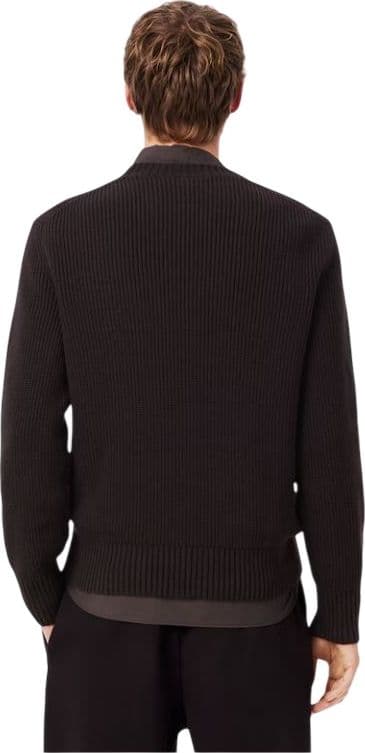 Lacoste  Maglie Marrone - 3
