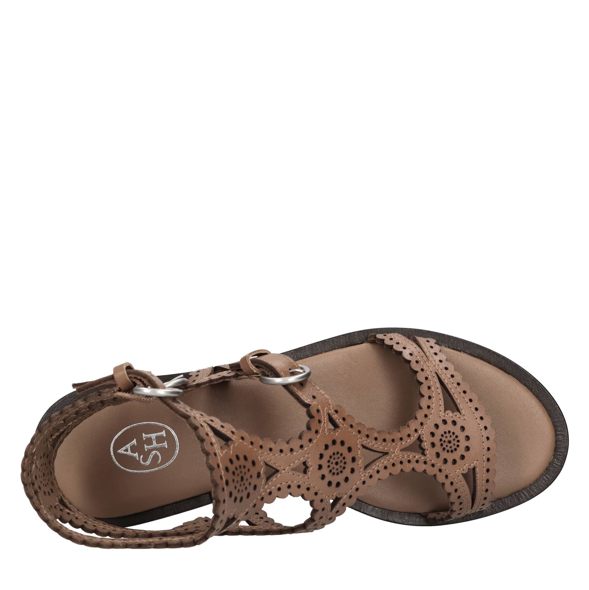 ASH  Scarpe basse Marrone - 5