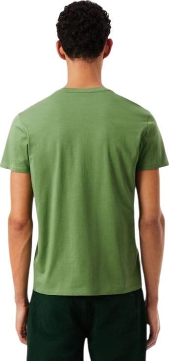 Lacoste  T-shirt e Polo Verde - 5