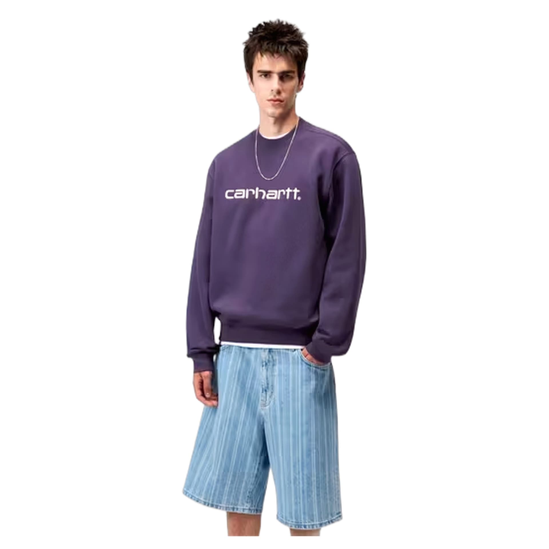 CARHARTT WIP felpa carhartt wip carhartt sweat - lokers / salt - 2