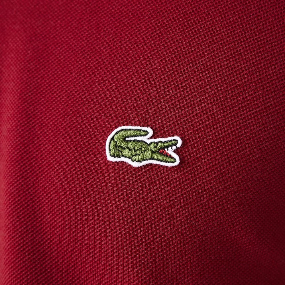Lacoste  T-shirt e Polo Bordeaux - 3