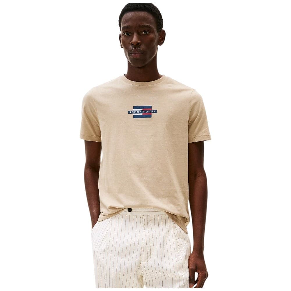 Tommy Hilfiger t-shirt beige logo centrale MW0MW38636RBT - 2