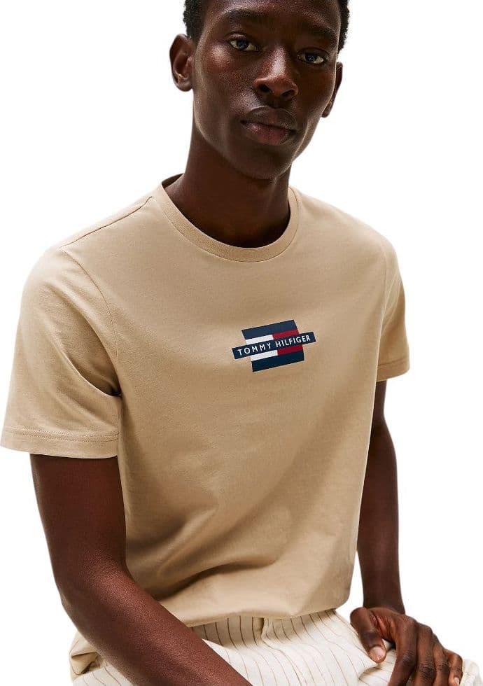 Tommy Hilfiger t-shirt beige logo centrale MW0MW38636RBT - 3