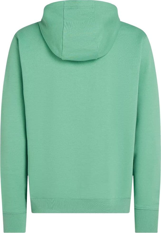 Tommy Hilfiger felpa verde con cappuccio MW0MW37235L3J - 2