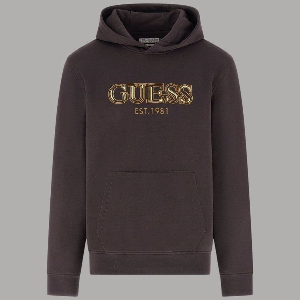 Guess felpa marrone con cappuccio M5BQ36 K9Z21 G1H3 - 5
