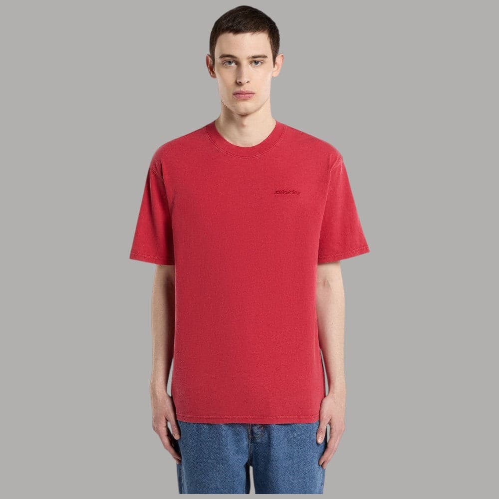 T-shirt Dickies Plentywood Cotone Slavato Acido Regular Fit - 2