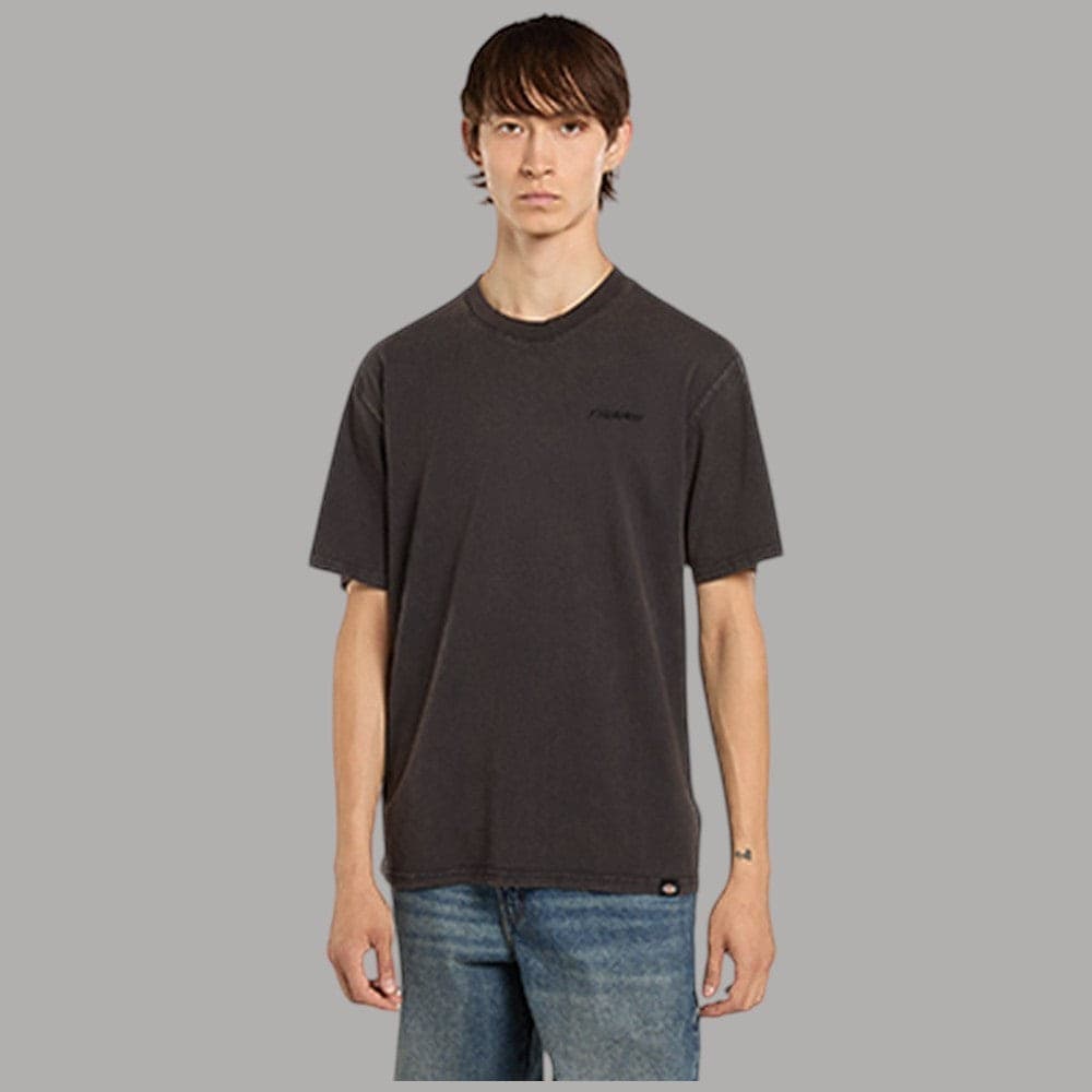 T-shirt Dickies Plentywood Cotone Slavato Acido Regular Fit - 3