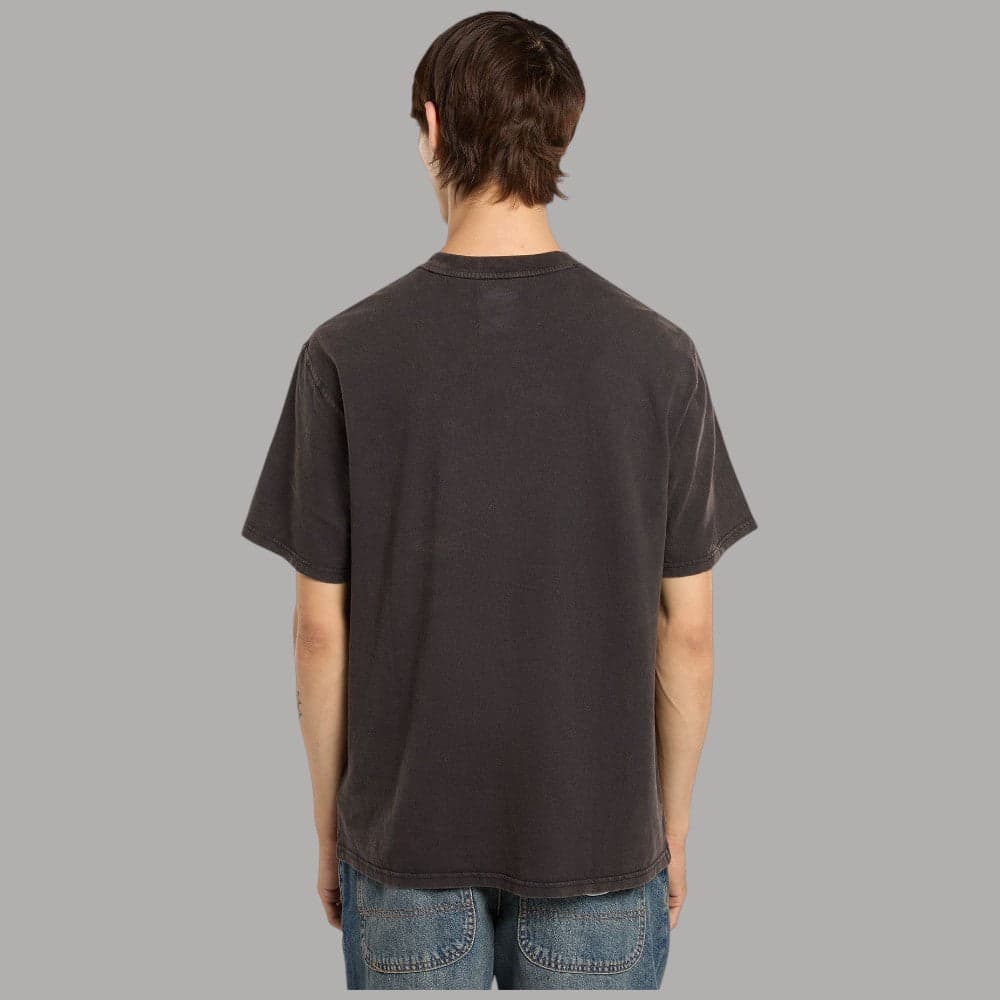 T-shirt Dickies Plentywood Cotone Slavato Acido Regular Fit - 4