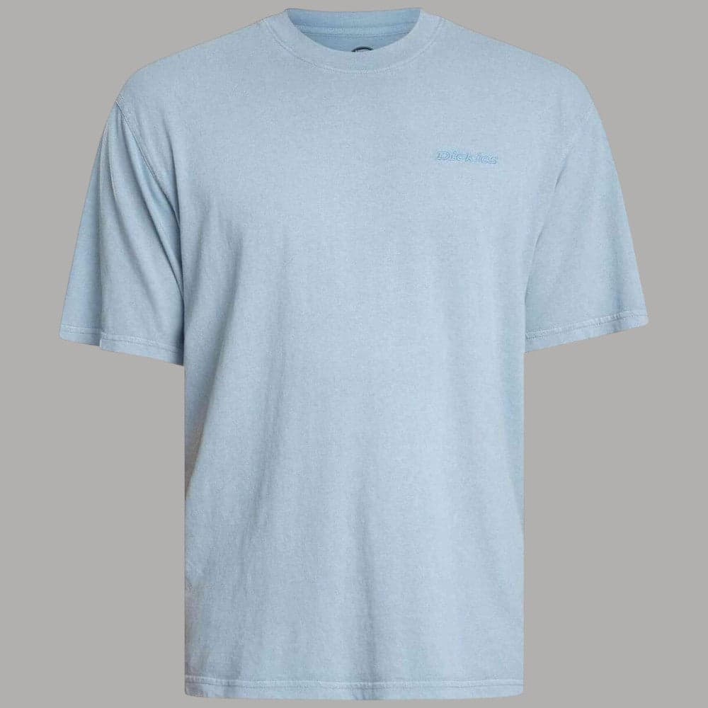 T-shirt Dickies Plentywood Cotone Slavato Acido Regular Fit - 6