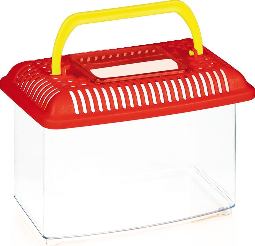Acquario Aquarium Cm 18 x 11X15 H L 1 5 Misura XS - 2