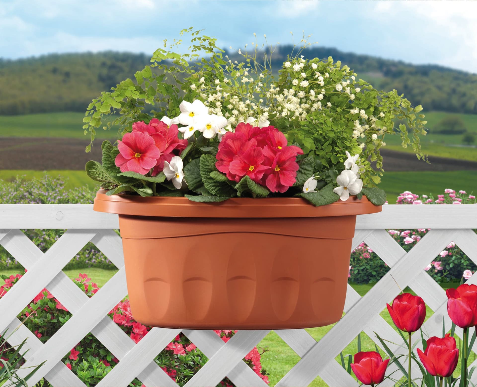Fioriera Rettangolare Doppia Klunia Colore Terracotta Cm 40 x 19 8X18 5 H - 2